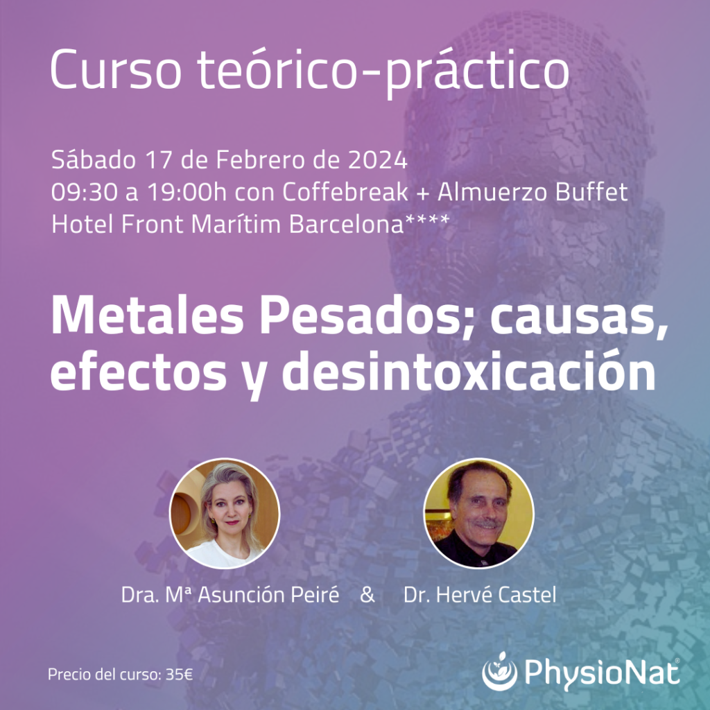 Seminario Hervé-Peiré plantilla (1)