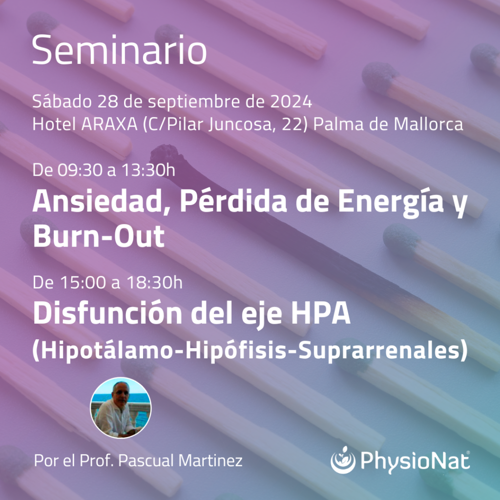 semi palma 28.09.24